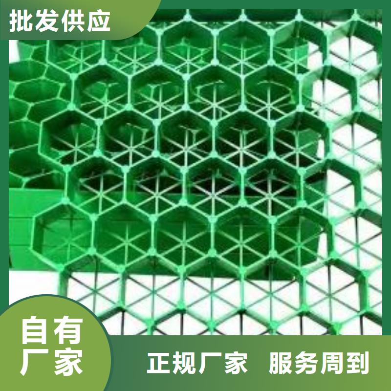 植草格植草格甄選好廠家