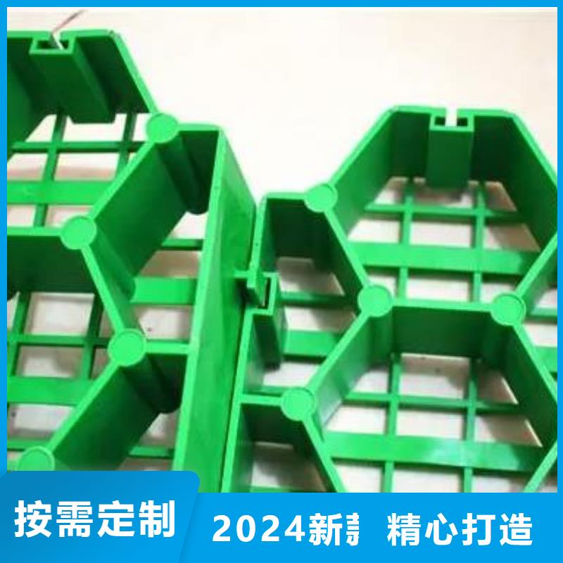 塑料植草格新發(fā)售價