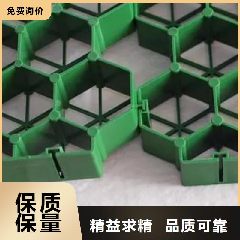 植草格排水板实地大厂