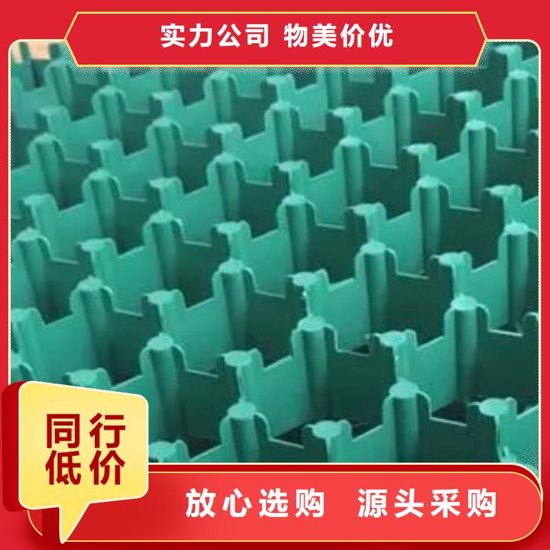 植草格厂家更新中