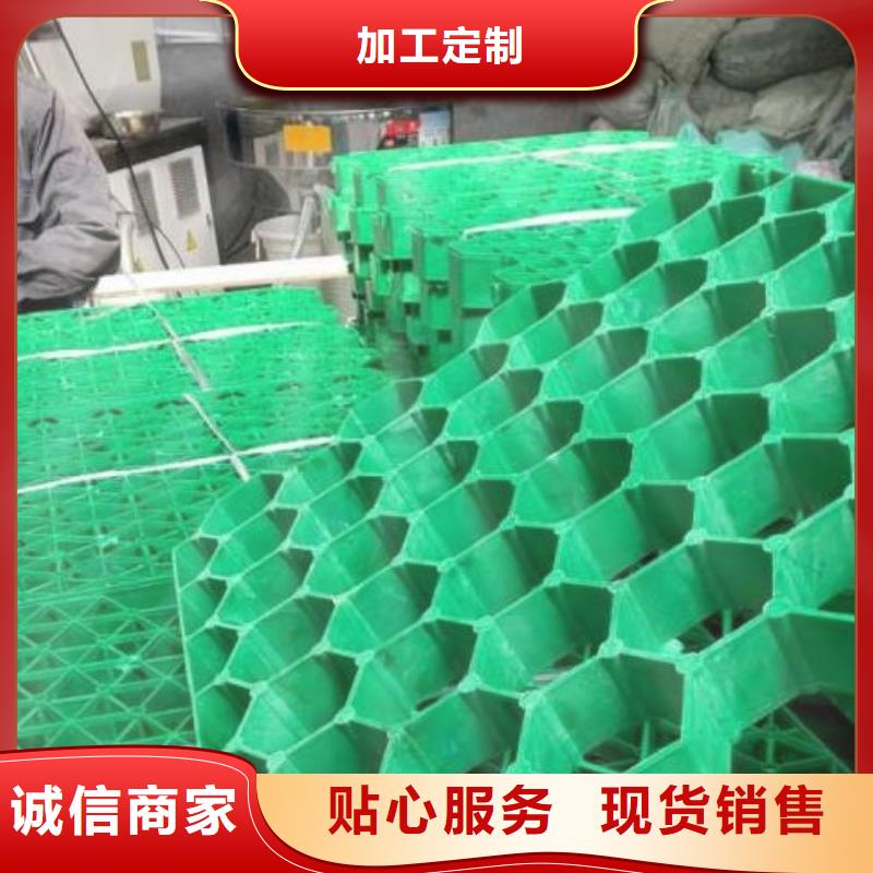 植草格_植草格廠家經(jīng)驗(yàn)豐富