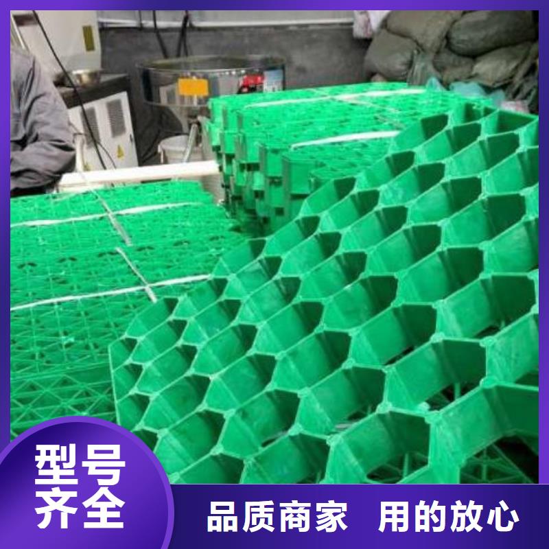 植草格水泥化粪池货源直供