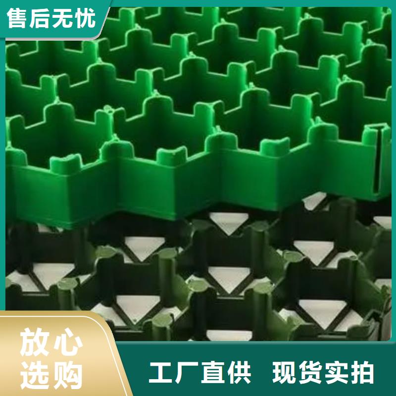 植草格,防护虹吸排水收集系统厂家批发价