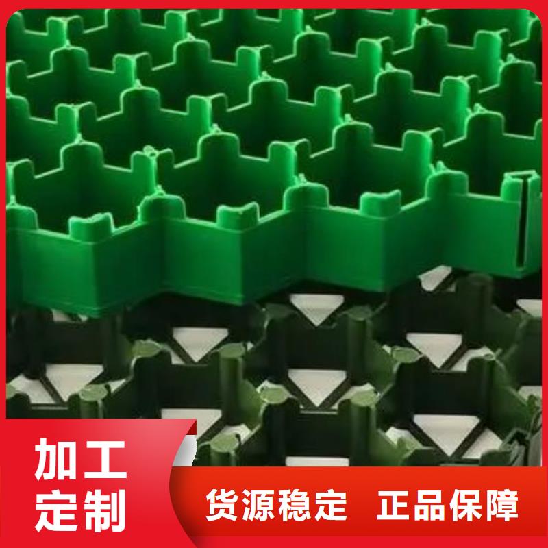 塑料植草格行情价—已更新2025