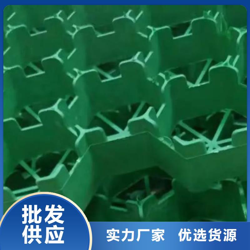 植草格供应价@2026