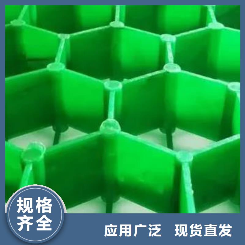 植草格_排水板交貨準(zhǔn)時