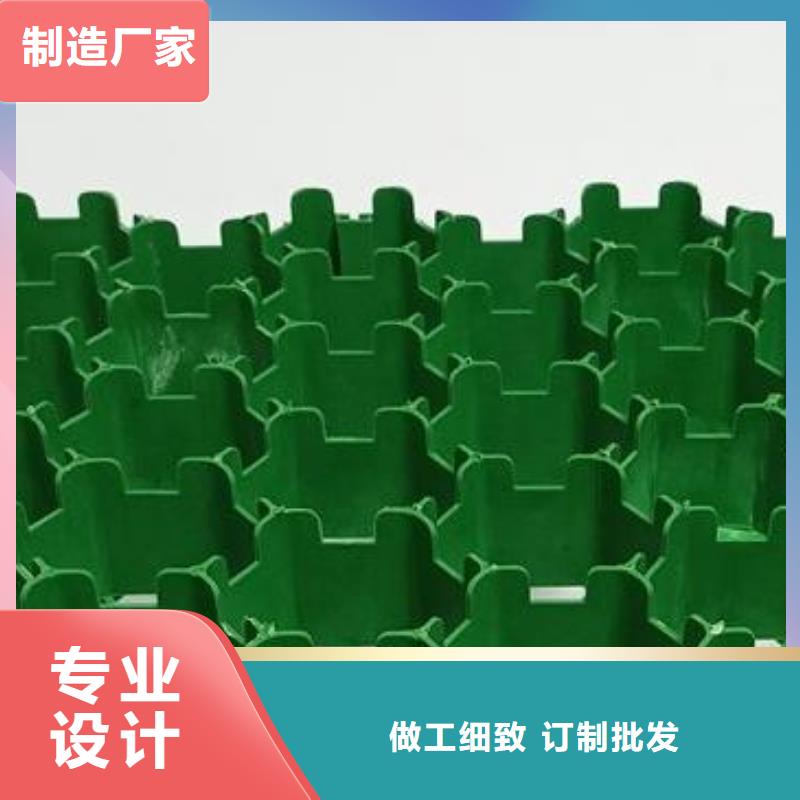 植草格化粪池水泥就近发货