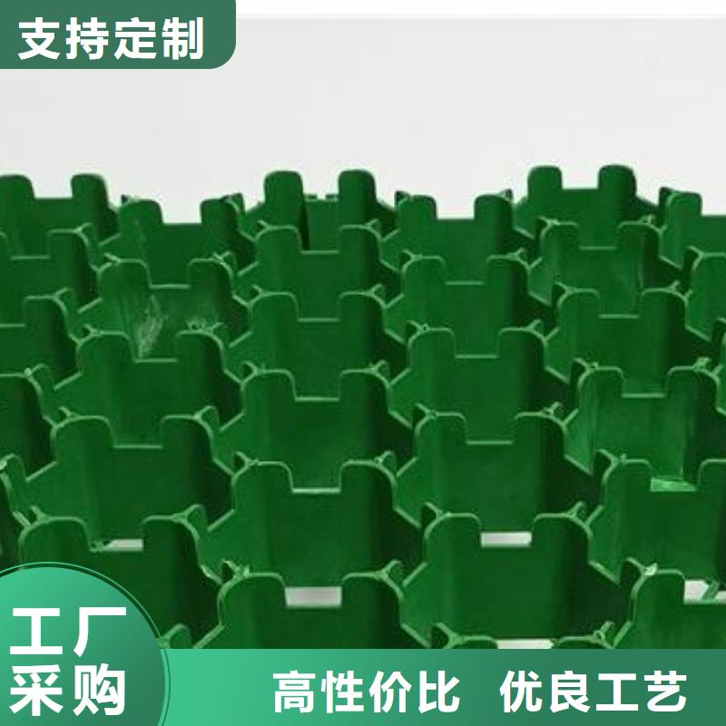 植草格化粪池水泥就近发货