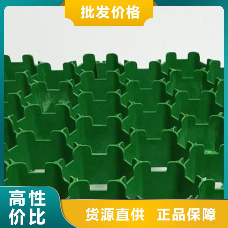 植草格_防護(hù)虹吸排水收集系統(tǒng)拒絕差價(jià)