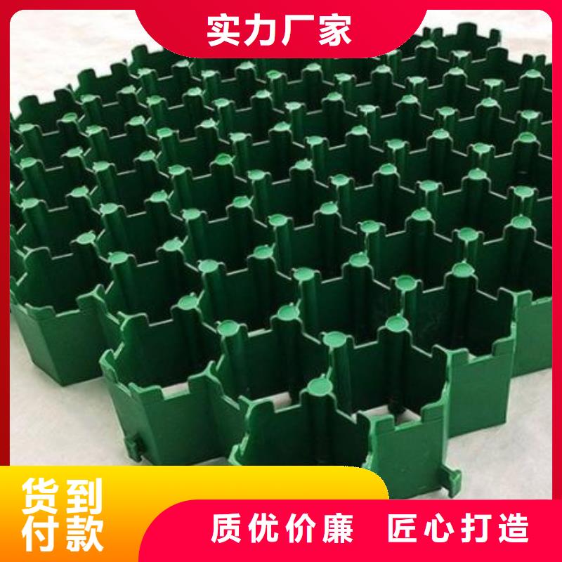 植草格_防护虹吸排水收集系统拒绝差价