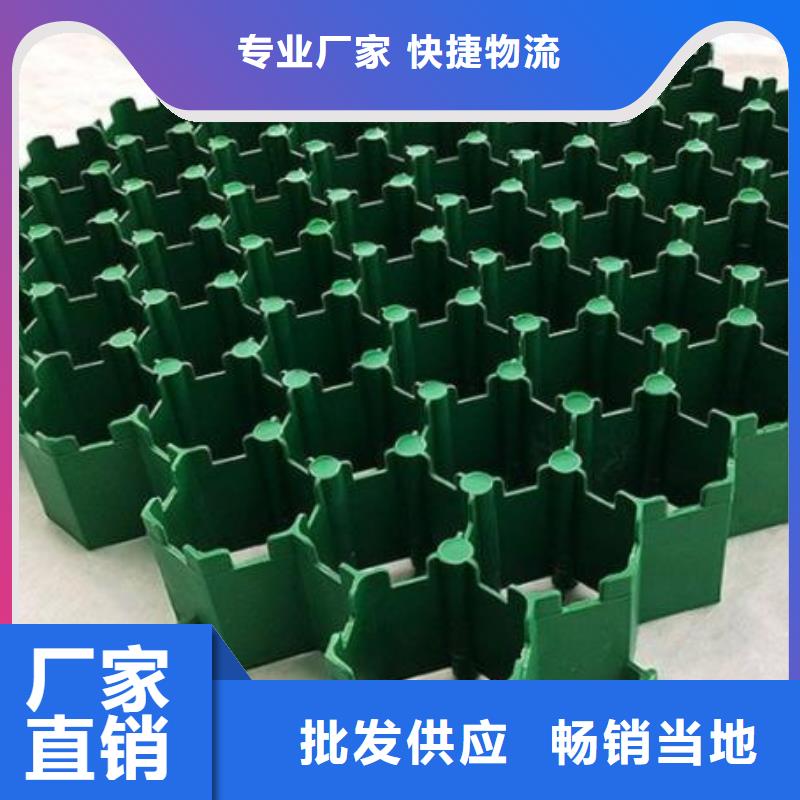植草格_排水板交貨準(zhǔn)時
