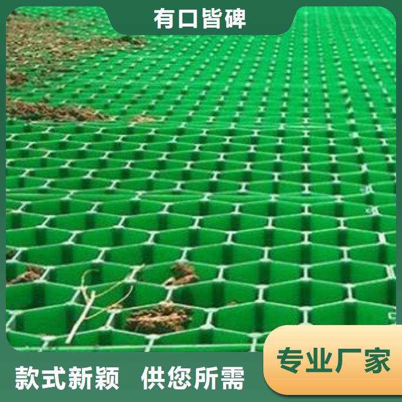 植草格_排水板全品类现货