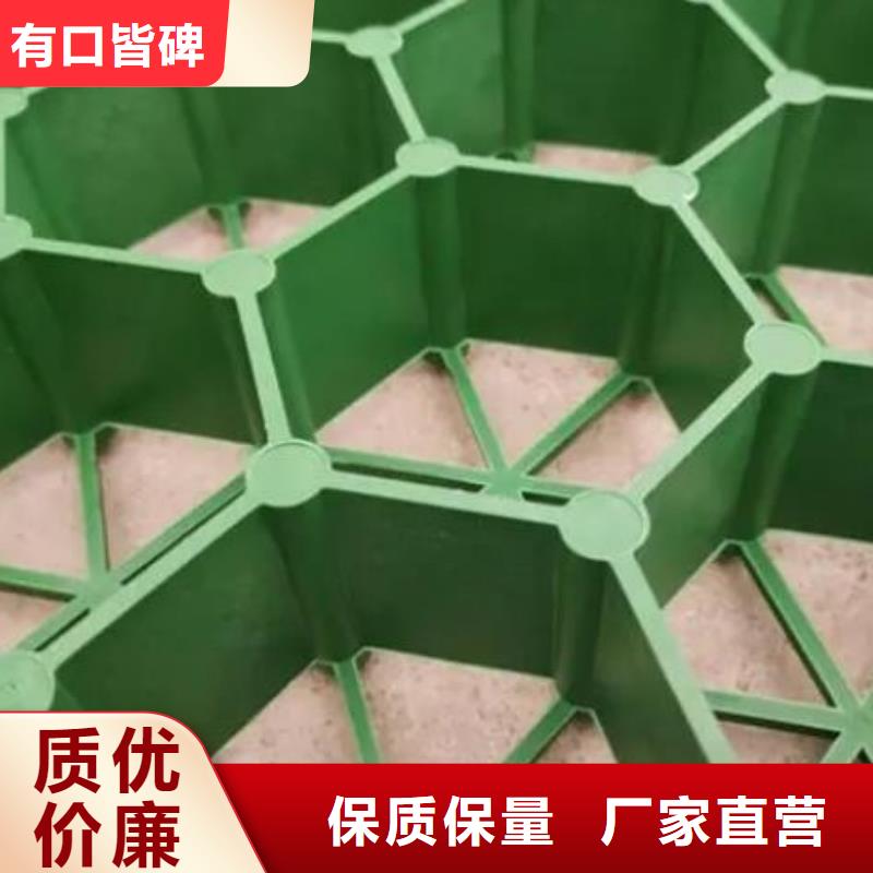 植草格排水板实地大厂
