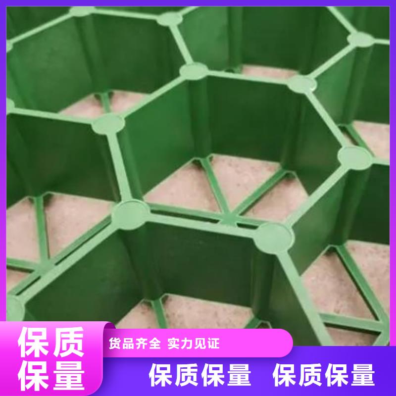 植草格_排水板全品类现货