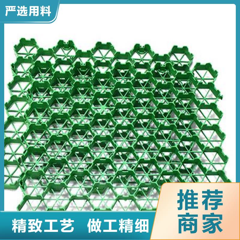 植草格_植草格廠家經(jīng)驗(yàn)豐富