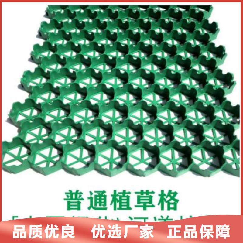 植草格_防护虹吸排水收集系统实力派厂家