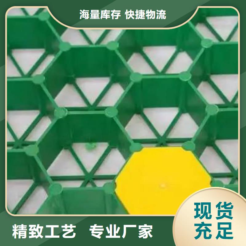 植草格水泥化粪池货源直供