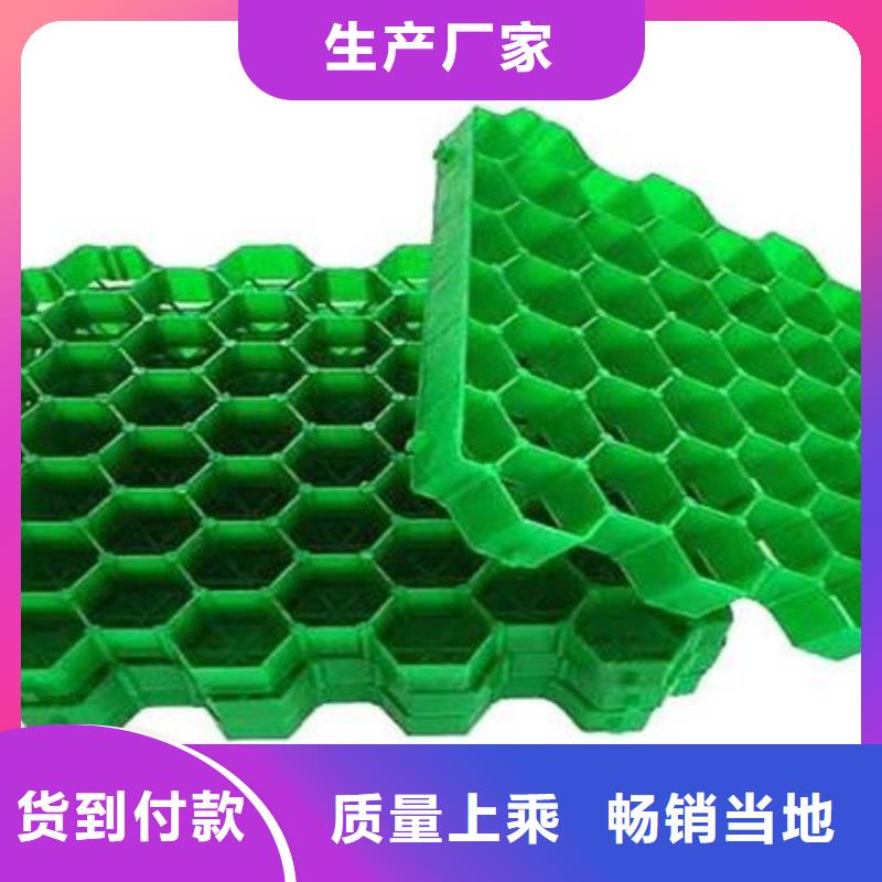 植草格,防护虹吸排水收集系统厂家批发价