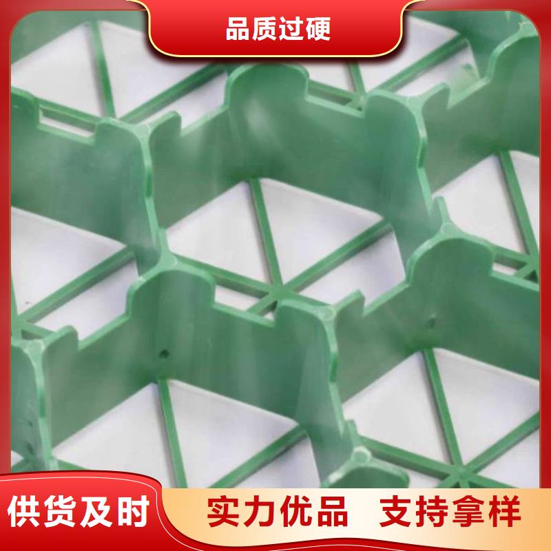 塑料植草格行情价—已更新2025