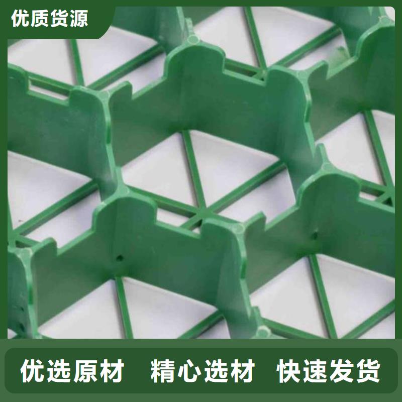 植草格排水板实地大厂