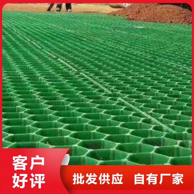 塑料植草格新發(fā)售價