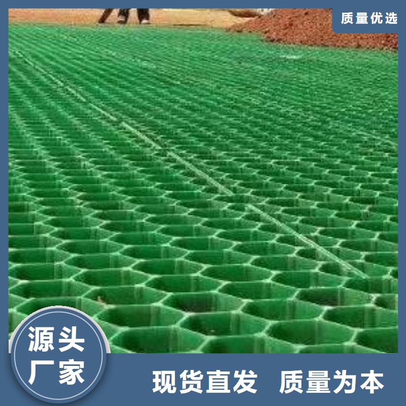 塑料植草格-植草格廠家