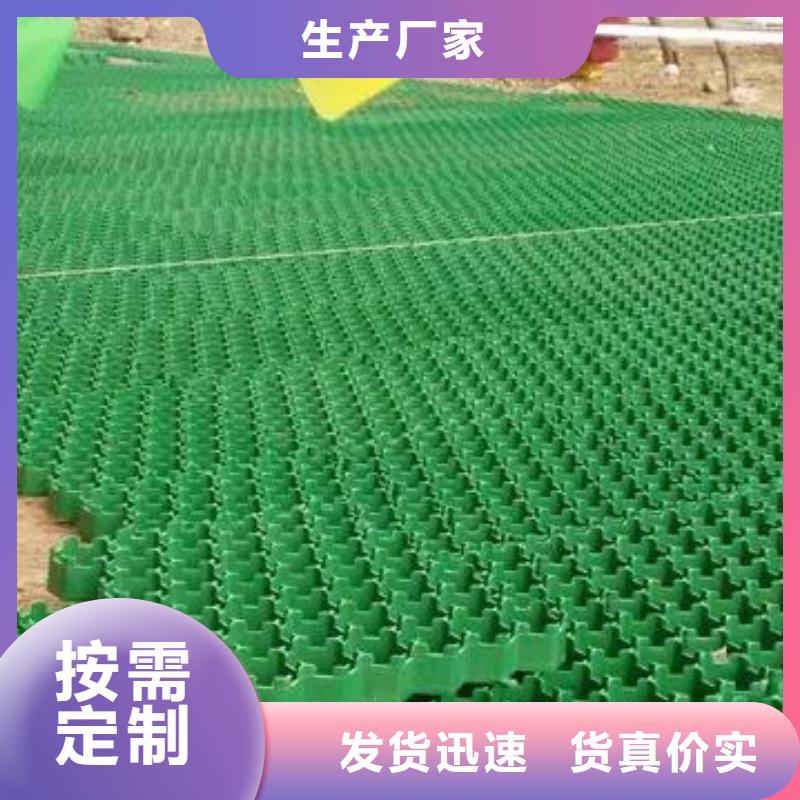 植草格植草格甄選好廠家