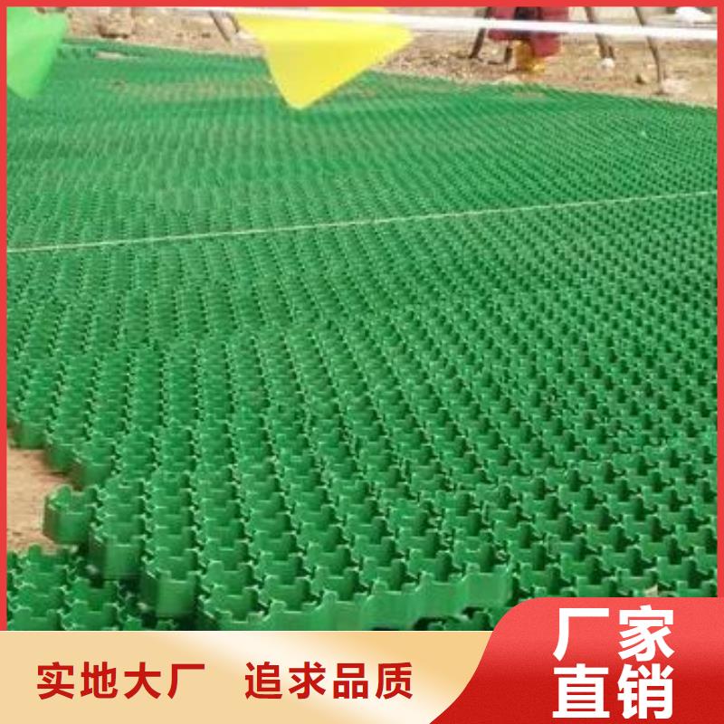 植草格-化粪池水泥厂家货源稳定