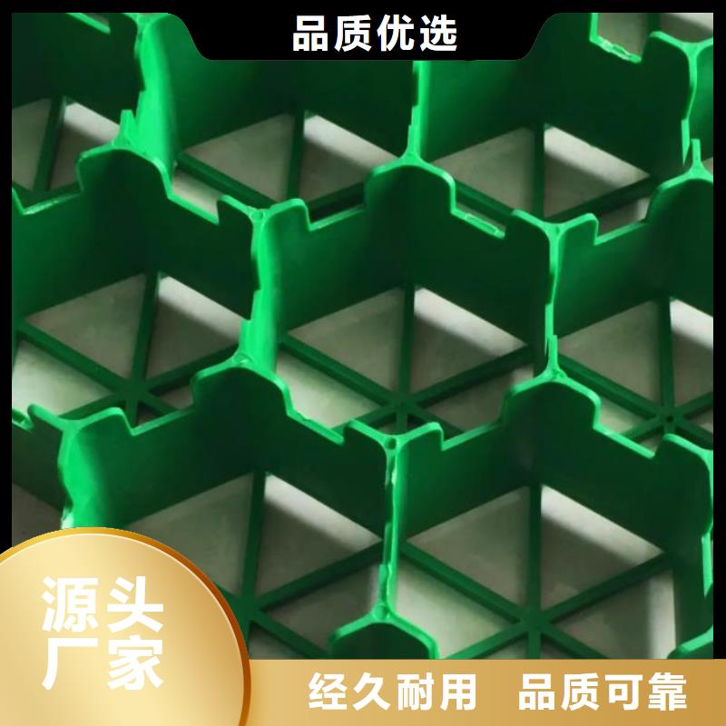 植草格化粪池水泥就近发货