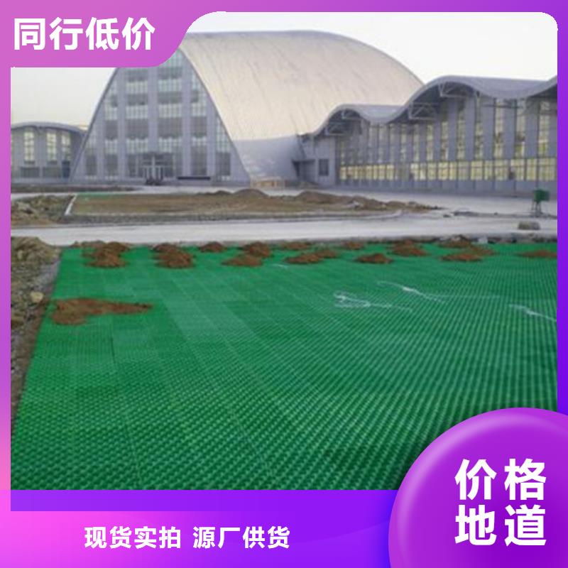 停車場植草格本地工廠發(fā)售中