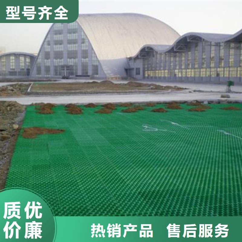 植草格植草格設備齊全支持定制
