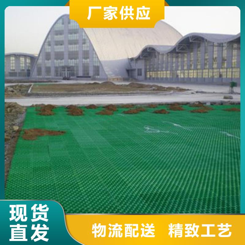 塑料植草格行情价—已更新2025