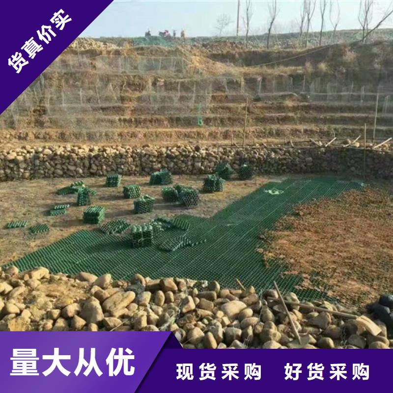 植草格植草格從廠家買售后有保障