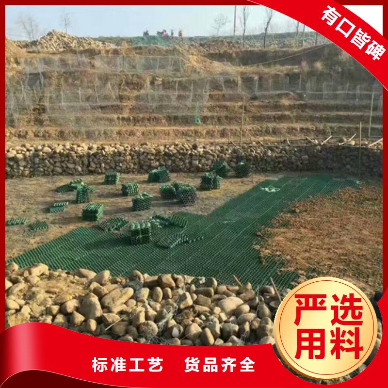 植草格_排水板交貨準(zhǔn)時