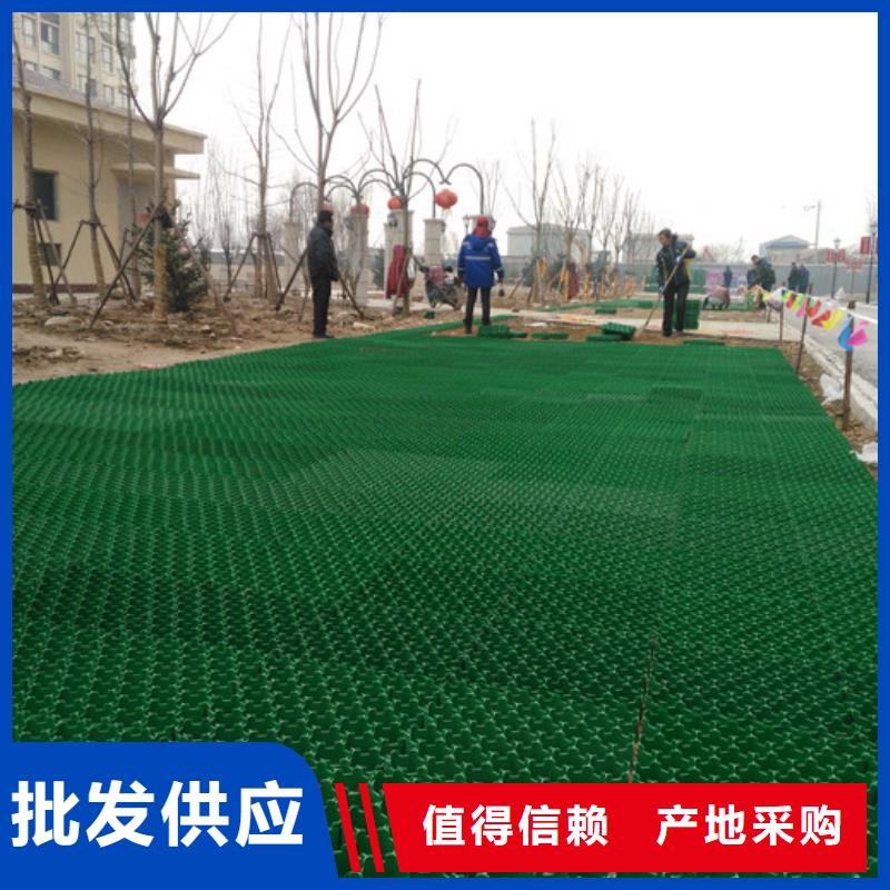 植草格供应价@2026