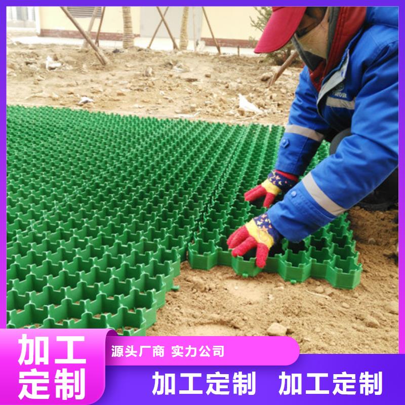 植草格化粪池水泥就近发货