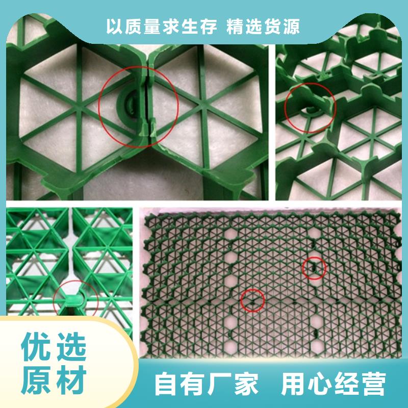 植草格-化糞池水泥廠家貨源穩(wěn)定