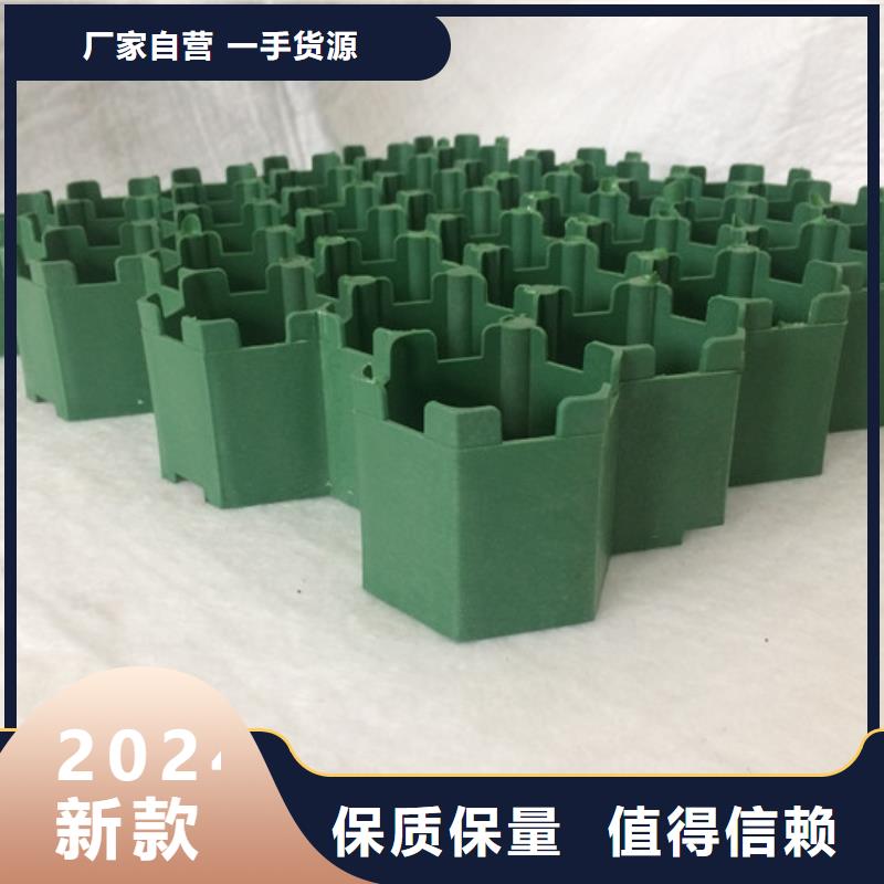 塑料植草格2025新聞
