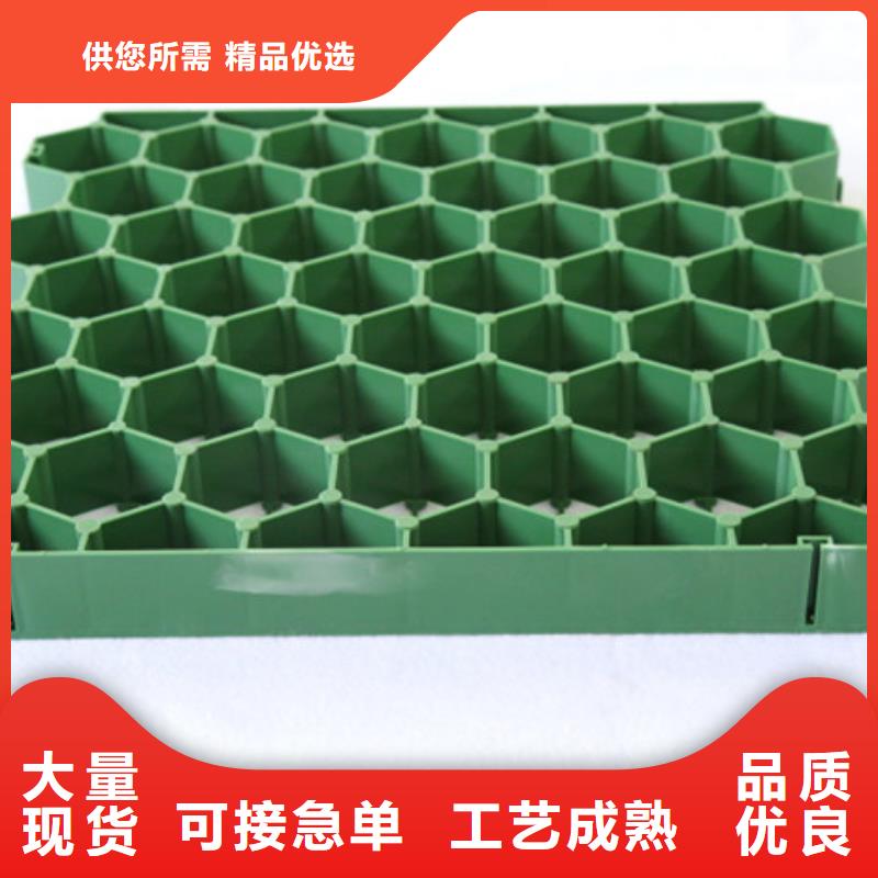 植草格水泥化糞池品質(zhì)有保障