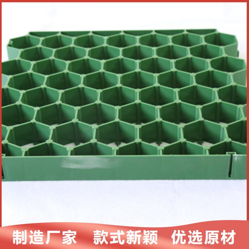 植草格植草格從廠家買售后有保障