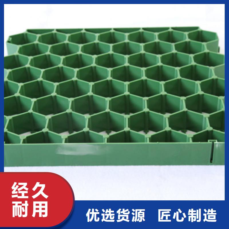 植草格植草格設備齊全支持定制