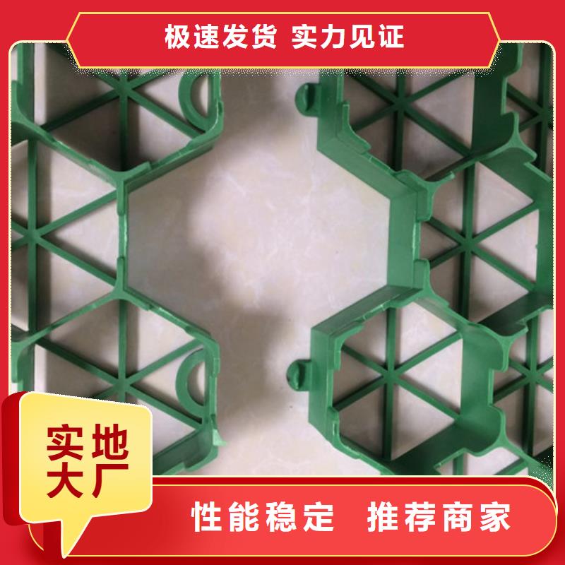 植草格水泥化糞池品質(zhì)有保障