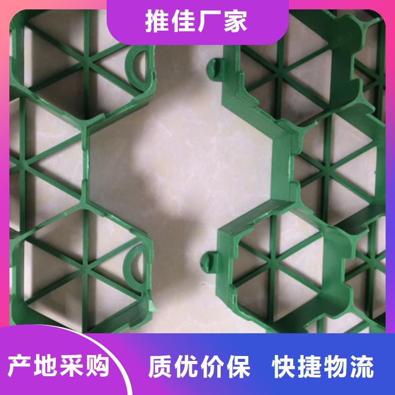 植草格水泥化糞池品質(zhì)有保障