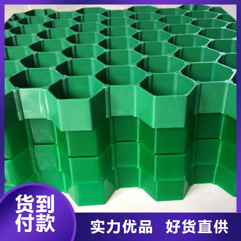 植草格化粪池水泥就近发货