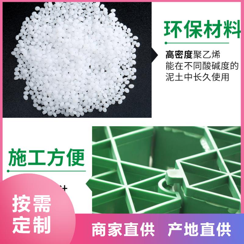 植草格植草格甄選好廠家