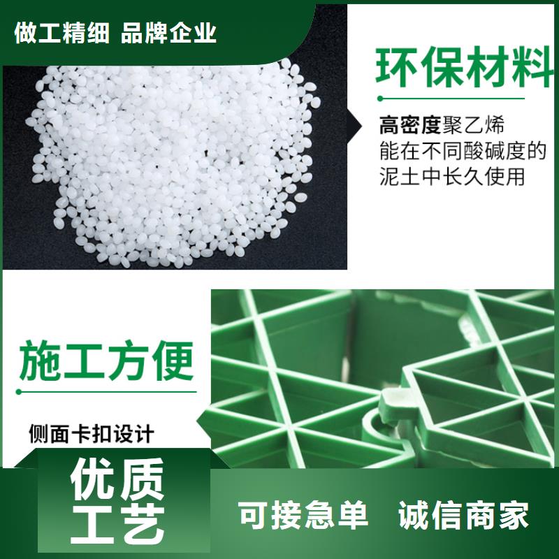 植草格植草格從廠家買售后有保障