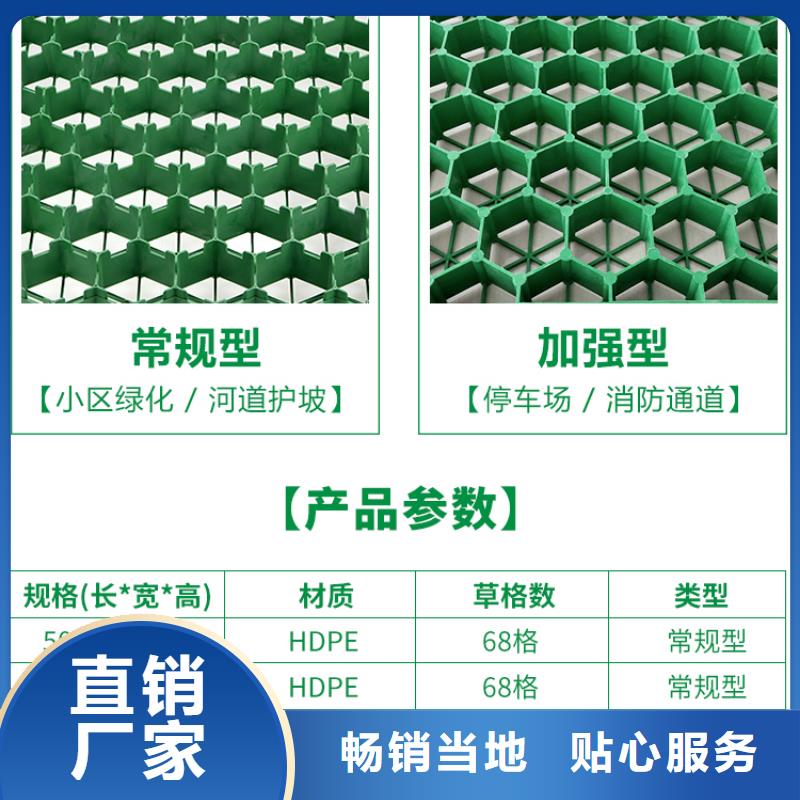 植草格水泥化糞池品質(zhì)有保障