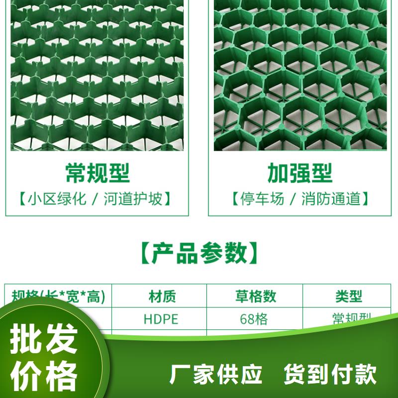 植草格植草格從廠家買售后有保障