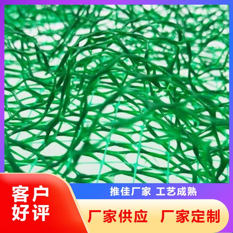 三維植被網(wǎng)_水泥化糞池支持批發(fā)零售