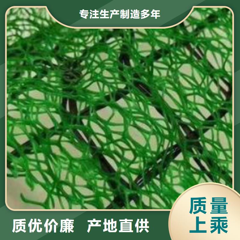 三维植被网植草格源厂直销